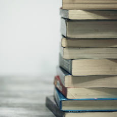 Jurnal Ilmu Sosial dan Ilmu Politik (SJP)